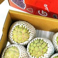 果樂水果VIP群