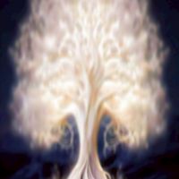 神奇石墨烯 身心療癒