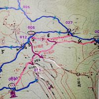 柴山 Oruxmap、綠野遊蹤 循航導行