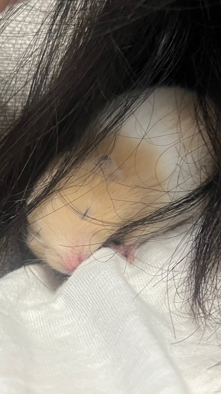 咦咦咦？閃屁閃哦