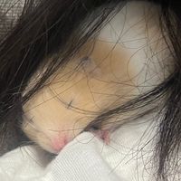 咦咦咦？閃屁閃哦