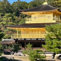 歴史・文化財好き集まれ〜！