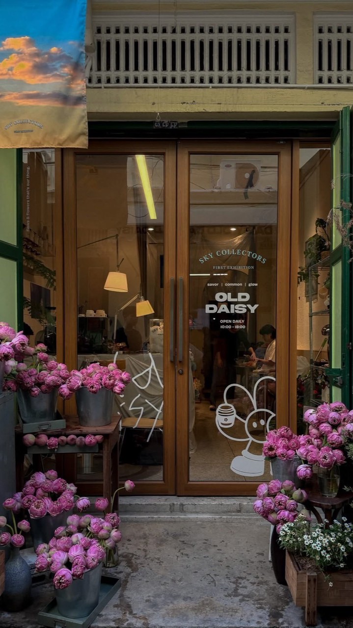OLD DAISY CAFE