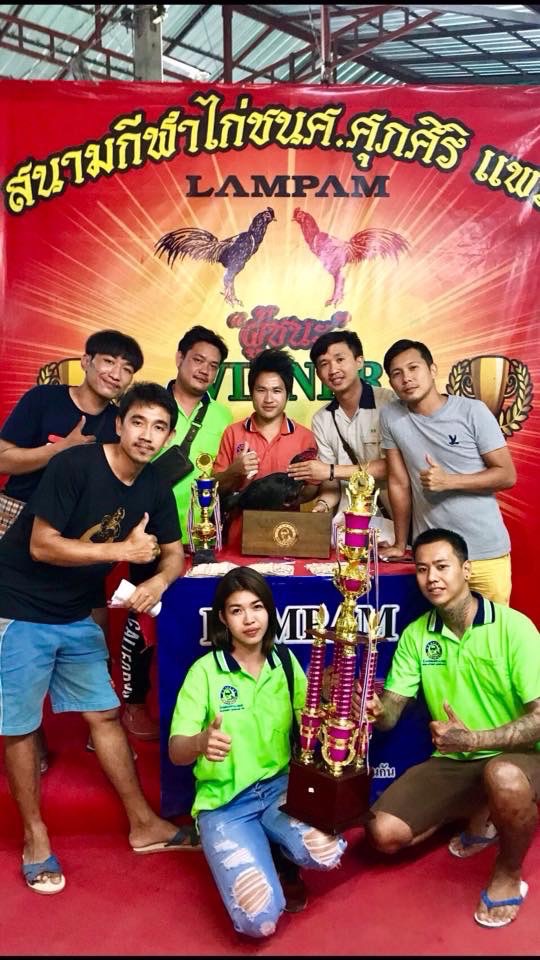 ศ.เป็นหนึ่งแพร่