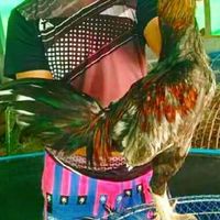 แข้งทันสมัย