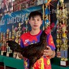 กลุ่มขายไก่