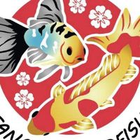 ฟาร์มปลาทอง Tamasaba Shubunkin Wakin byTanakinราชบุรี