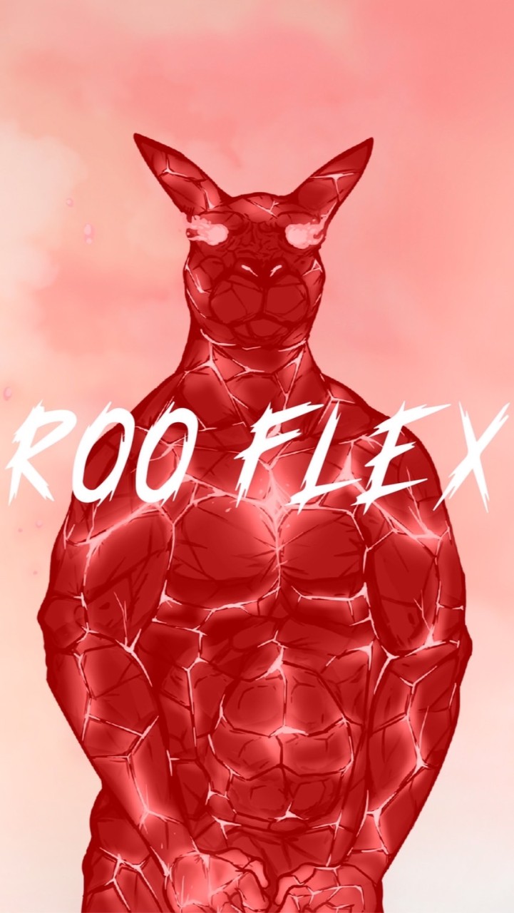 RooFlex🦘袋鼠元宇宙公益平台
