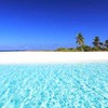 🌴 FXコピトレ/自動売買/EA/仮想通貨案件 🌴