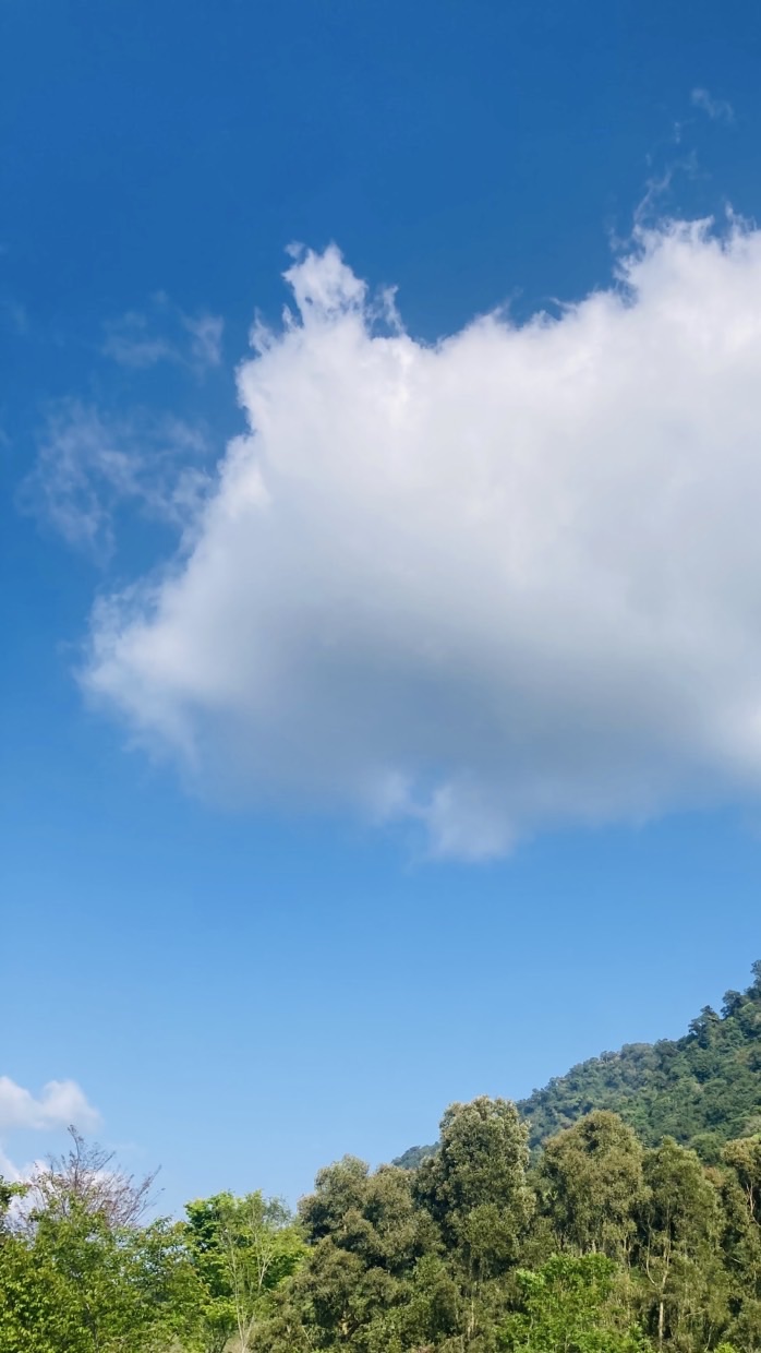 市運游泳選拔賽（龍潭區）