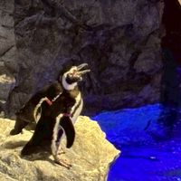 全国の中学生