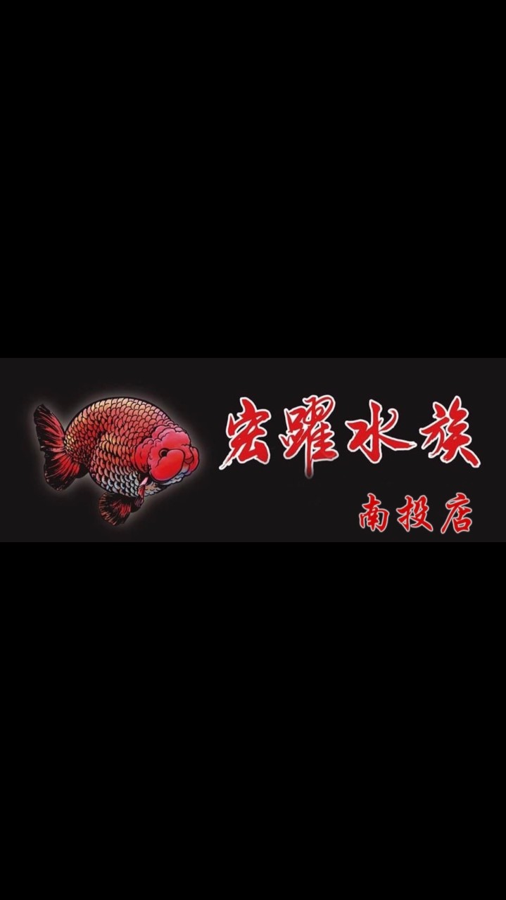 宏躍水族-南投加盟店