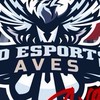 【発言禁止❌】αD Aves