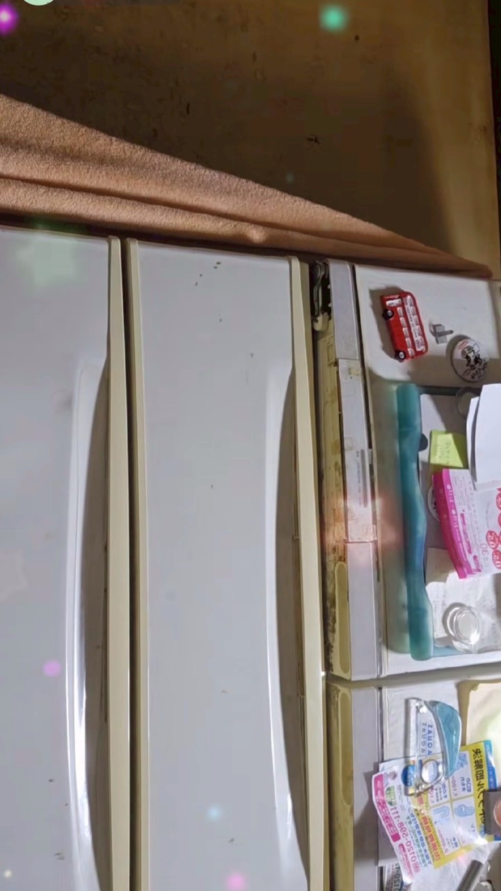 赤堀家の観察日記