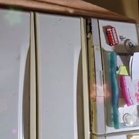赤堀家の観察日記