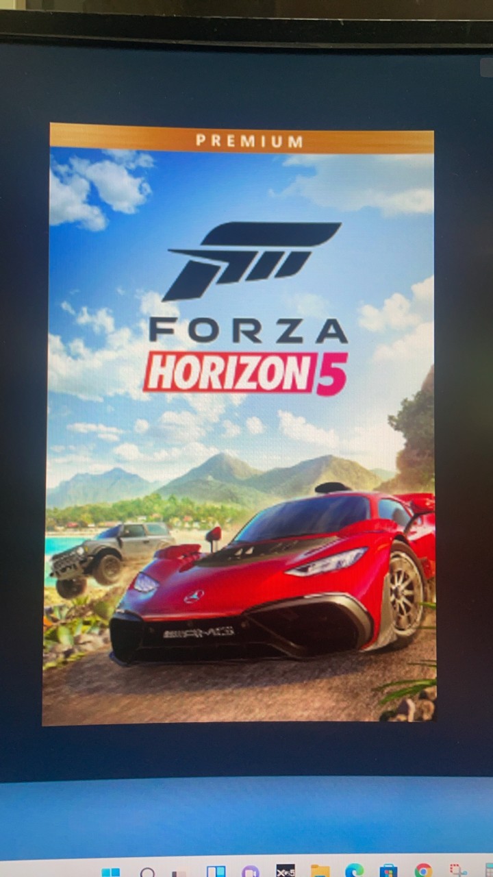 Forza Horizon 大家族