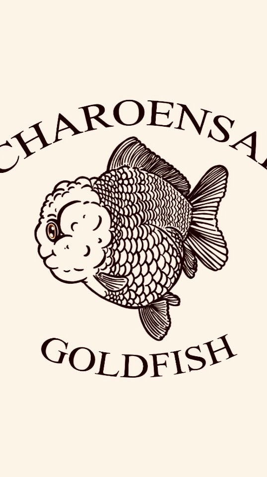 Charoensap Goldfish