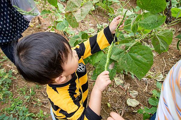 【日月潭一日遊】南投頭社活盆地農村美食餐桌與休閒農場-體驗不一樣的在地食材美味佳餚與獨特河道獨木舟體驗
