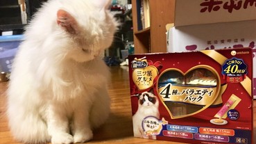 2019年日本必買寵物零食推薦清單：貓奴必看的貓咪零食篇