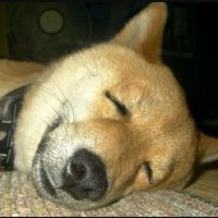 35歳からの憩い部屋