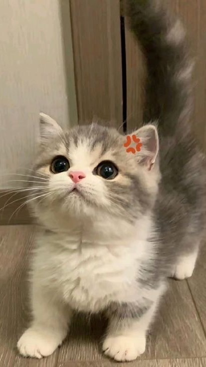 🌤️กลุ่มตท.สั่งทำ/ต่อแอคยูทูป✨ร้านมิเกล🌷