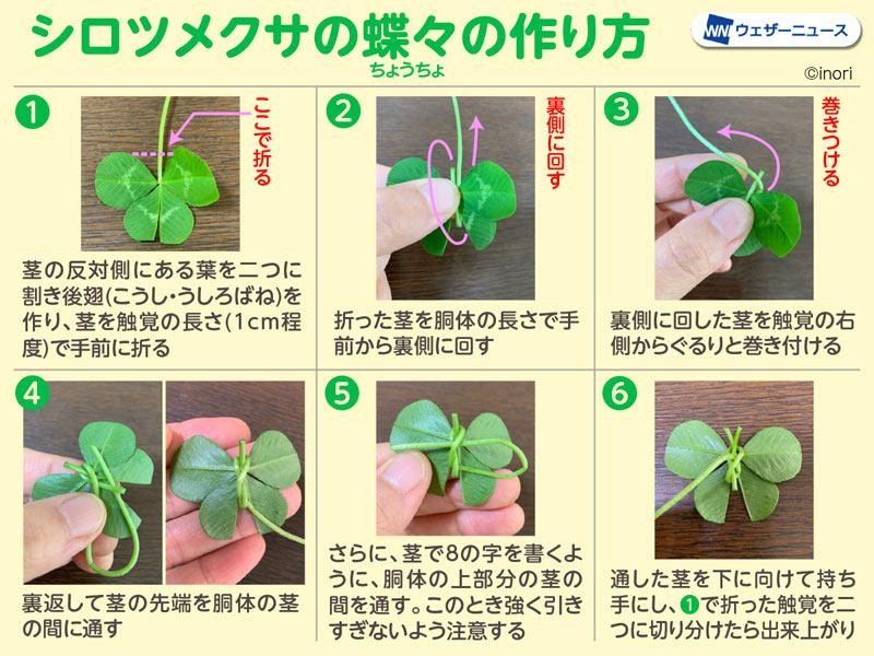 蝶々やモビールが作れる 身近な野草で簡単花遊び