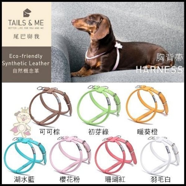 商品名稱 台灣製TAILS&ME 尾巴與我《自然概念革-純粹系列胸背帶》XS號賣場 商品特色 1.選用環保頂級人造革材質製成，觸感舒適、堅韌耐用 1.精品等級尼龍縫線，細緻車工 3.TM專利環讓您自由