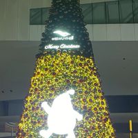 咕咕鴨1