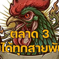ตลาด 3 ลงได้ทุกสายพันธุ์