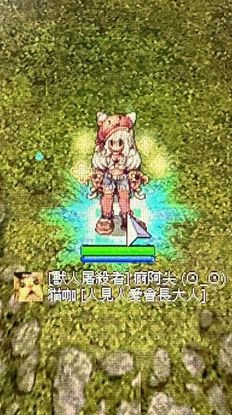樂園貓咖