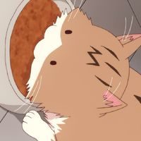 アニメ好きの部屋