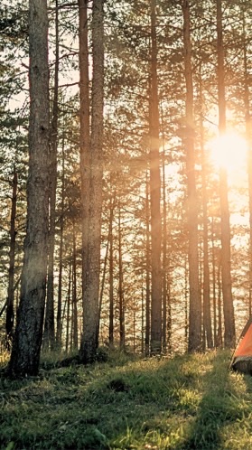 นิเทศ อิน เดอะ การ์เด้น ร้องเล่นเต้นในสวน