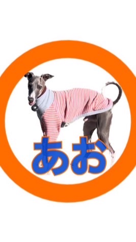 イタグレあおちゃん捜索チャット