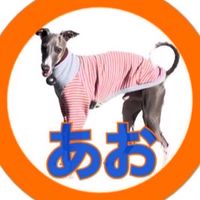 イタグレあおちゃん捜索チャット