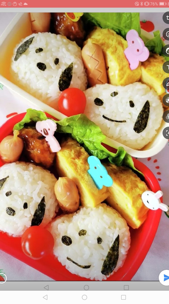 🌟金太の大冒険。*゜ .*.。🌟.。*゜ .*.。🌟。*゜ .*.