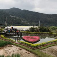 早安問候分享圖庫🤗