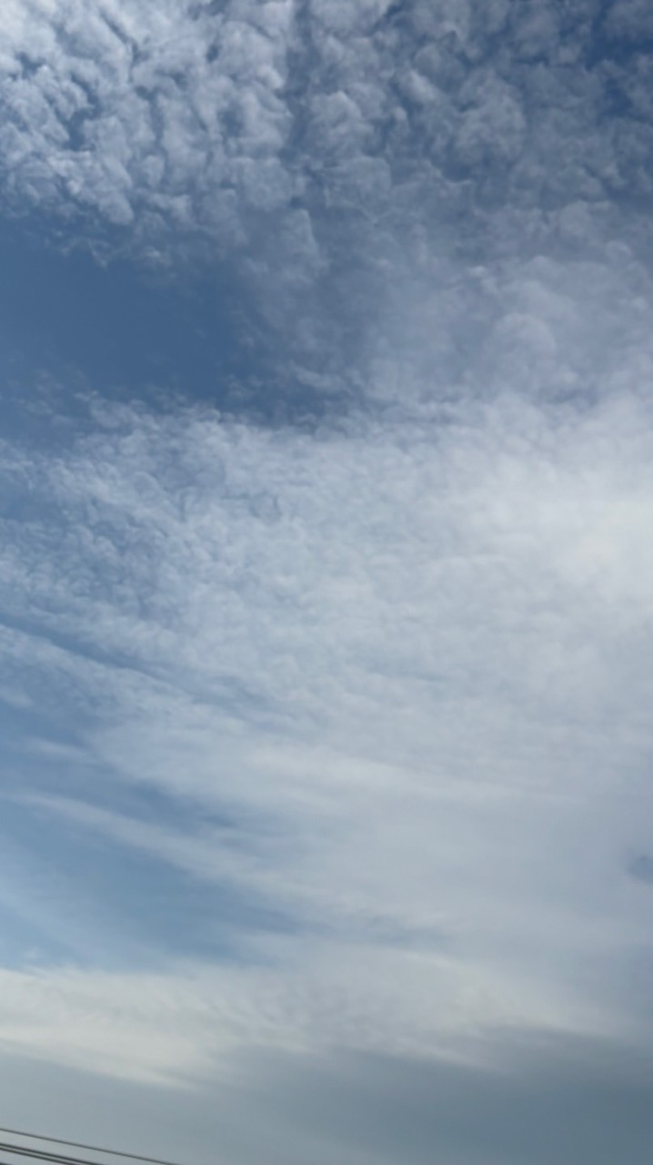 お天気情報交換☔️☀️
