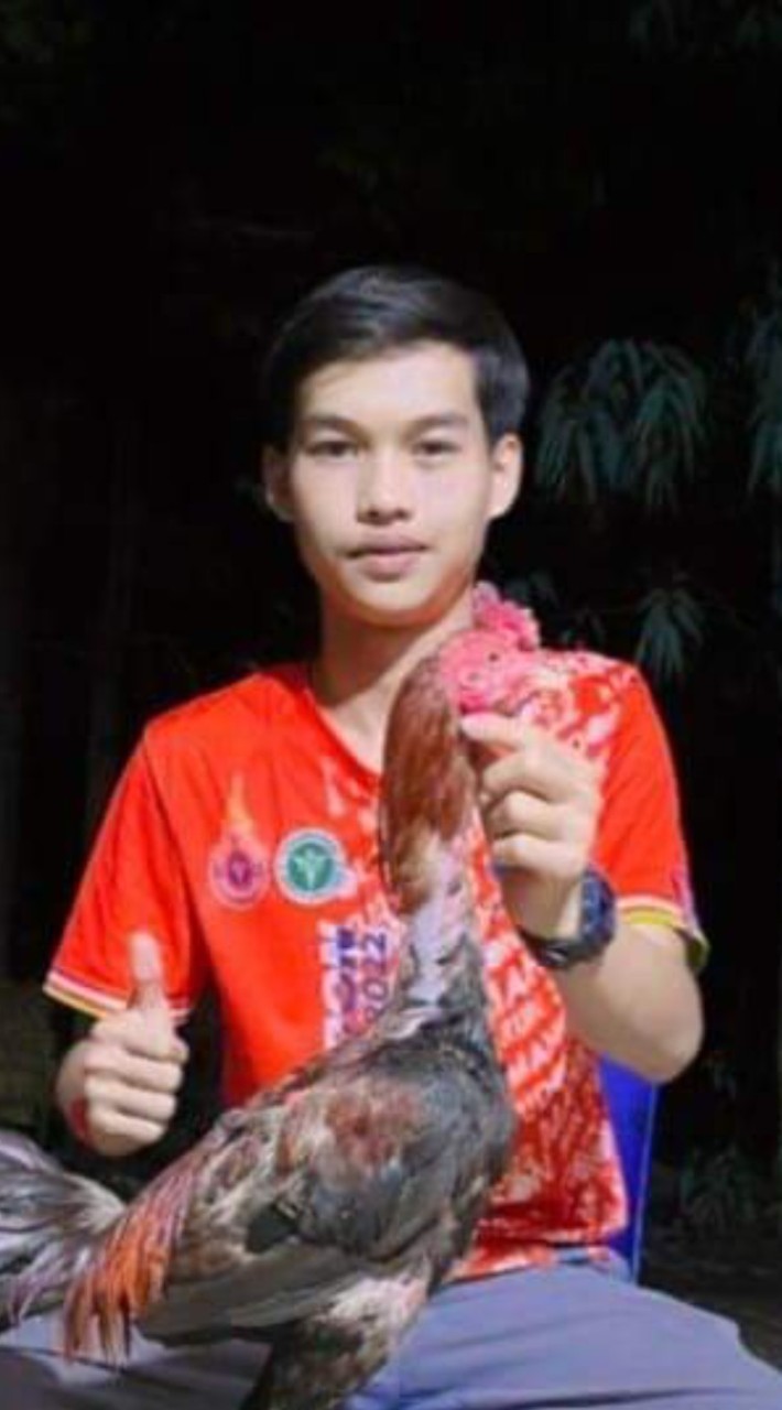 แก่น ทุ่งสุขสำราญ