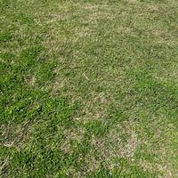 相約 野營 溫泉 衝浪 出海18-45 一日情人  兩日也行  三更半夜也是可以