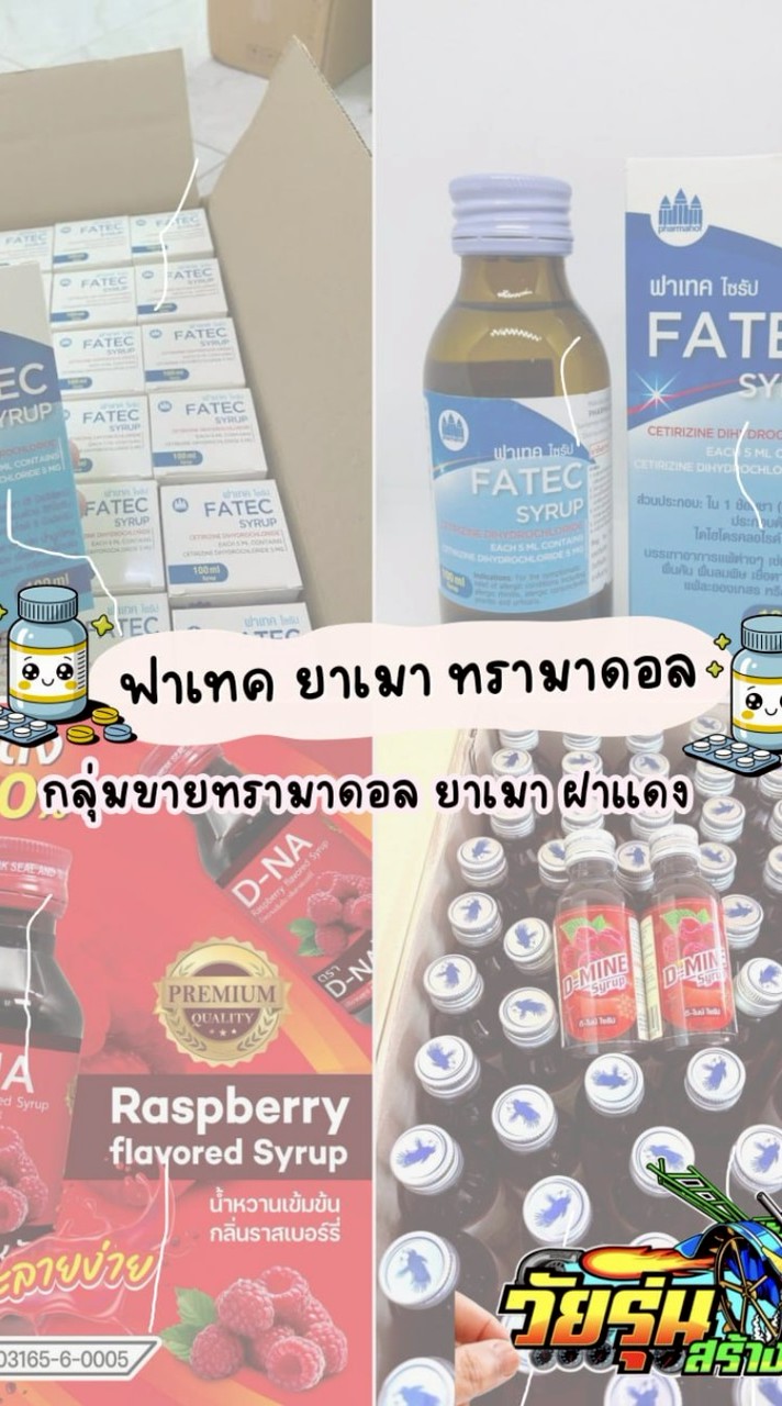 ฟาเทค เเม่เเตงเชียงใหม่