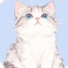 ʚ Neko·Studio ɞ
