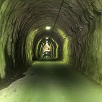 コフィンシリスCSS難病指定