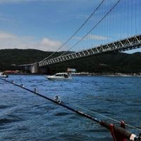 兵庫、播磨灘、大阪湾の船釣り好きな人集まれ