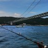 兵庫、播磨灘、大阪湾の船釣り好きな人集まれ