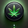 CBD CBN情報交換