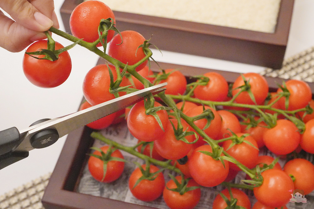 台北喜來登安東廳【牧香．福爾摩沙】台灣牛饗宴 荷士登乳公牛 乾式熟成 張守義主廚