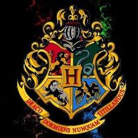 Harry Potter and the Shadow of New Blood【也･折･恋愛⭕️】