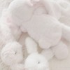 キミだけ愛してるＲａｂｂｉｔ♥