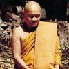 ใต้ร่มโพธิญาณป่าพง