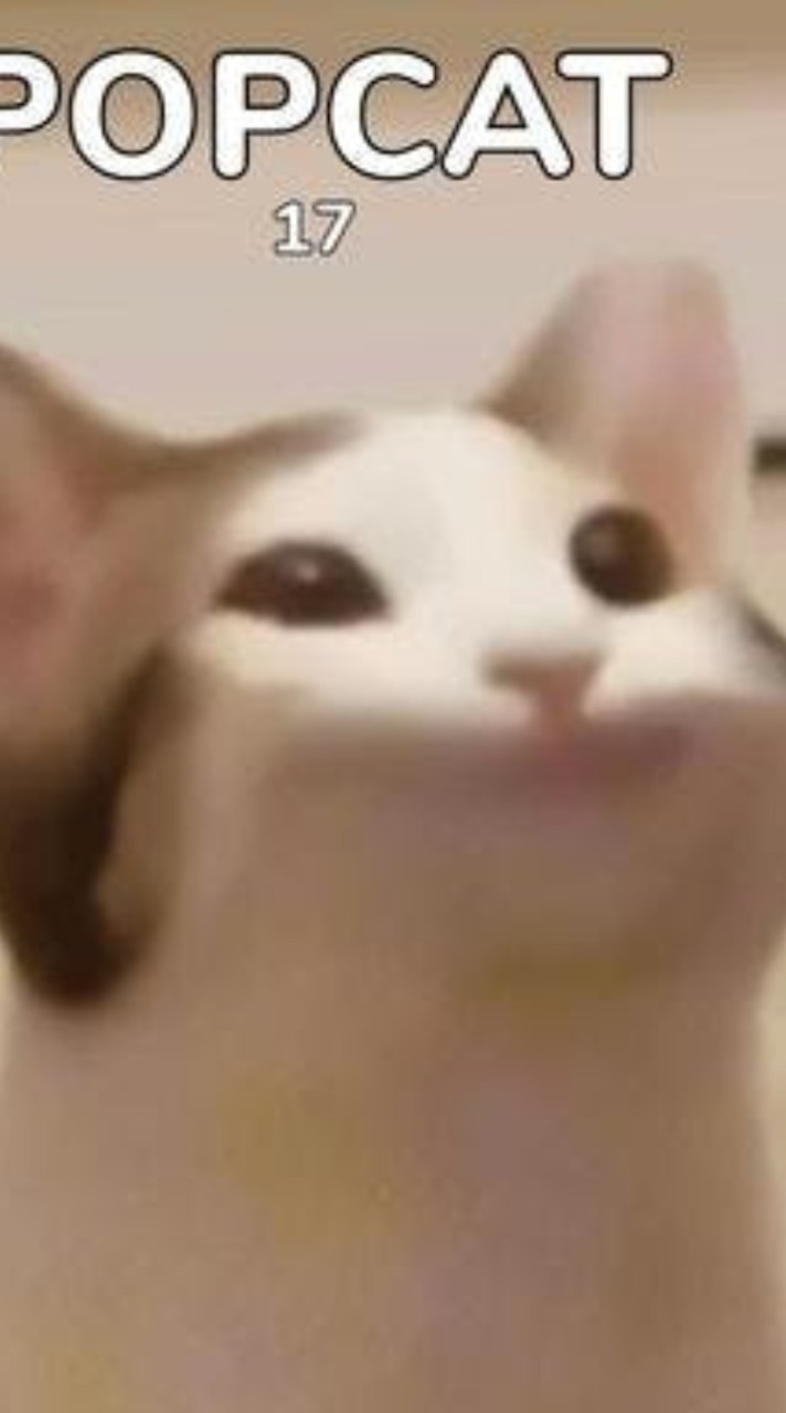 愛錢的pop cat